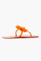 CITRUS FLOWER JELLY FLAT SANDAL