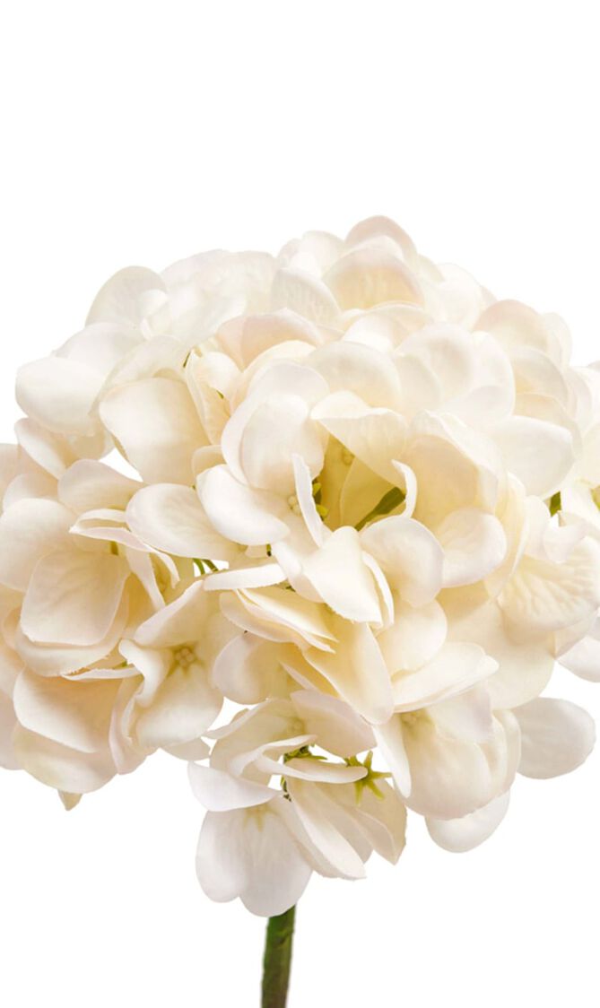 زهرة هيدرانجيا الاصطناعية