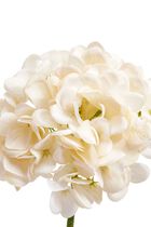 زهرة هيدرانجيا الاصطناعية