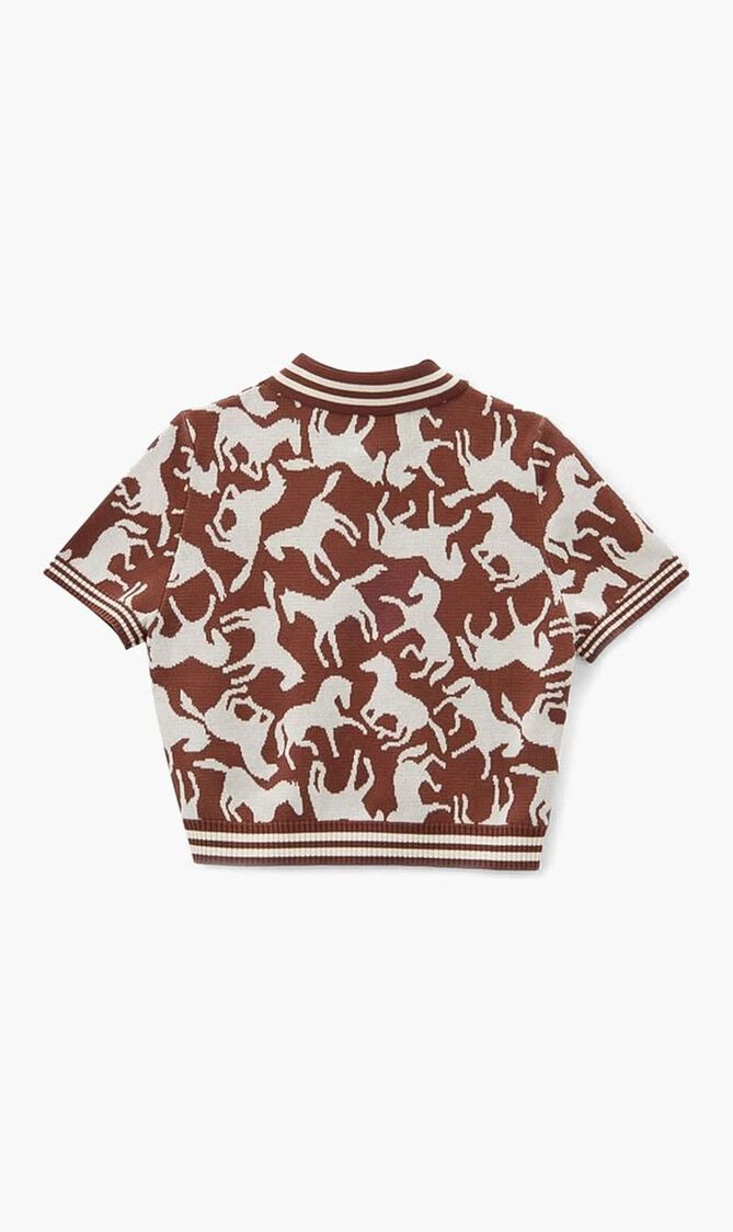 Knit Polo Shirt