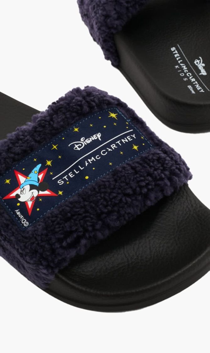 Disney Fantasia Slides