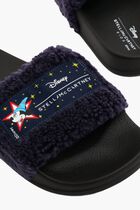 Disney Fantasia Slides