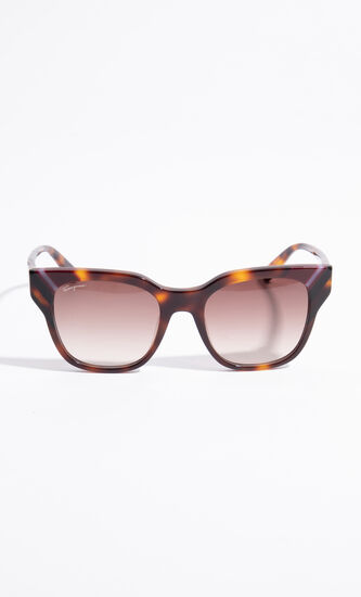 Wayfarer Sunglasses