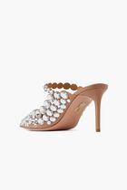 Maxi Tequila Maryjane 75 Mules