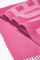 L'&eacute;charpe Scarf