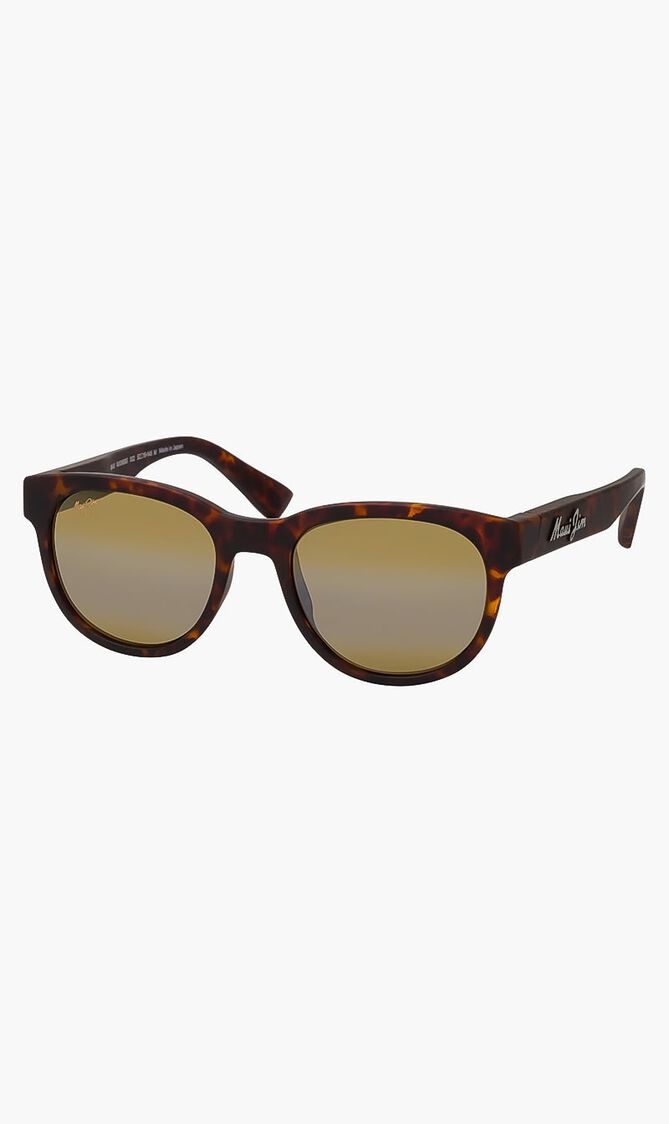 Havana Sunglasses