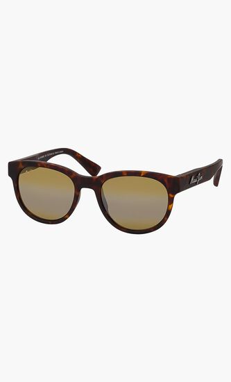 Havana Sunglasses