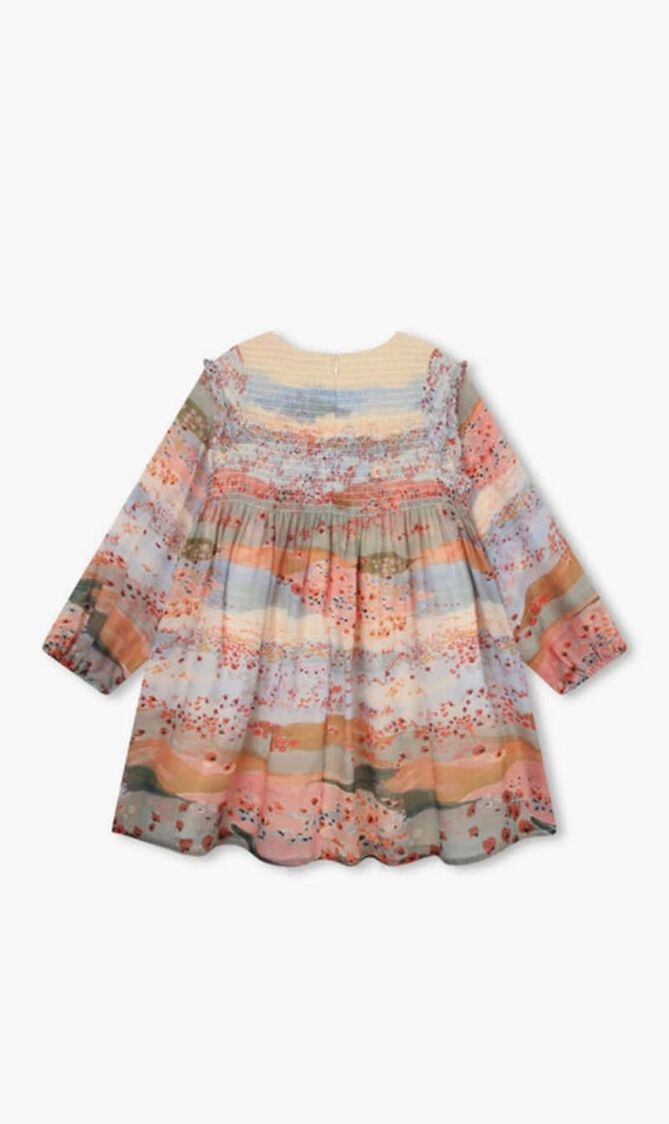 CEREMONY PRINT DRESS