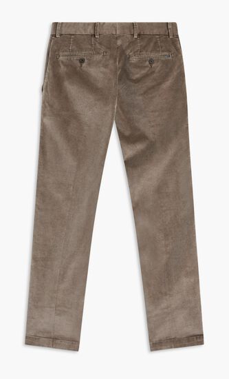 Standard Straight Fit Pants