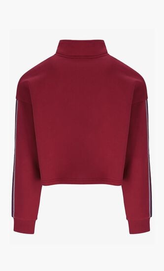 HALF ZIP SWEAT_ BBFLEECERHUBARB