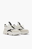 Darius Classic Trainer