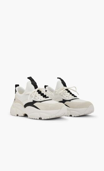 Darius Classic Trainer