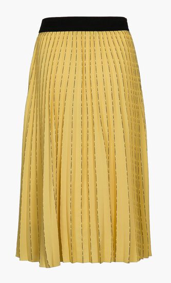 Pleated Skirt