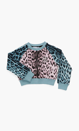 Colourblock Sweatshirt
