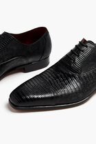 Lizard Oxford Shoes