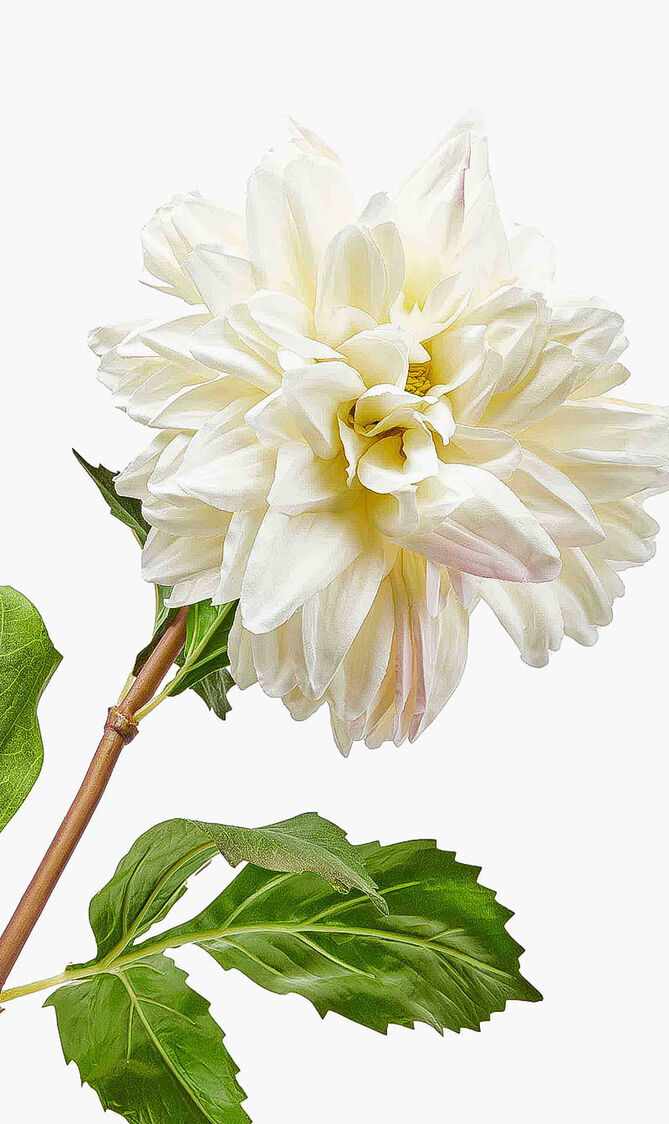 زهرة أضاليا الاصطناعية