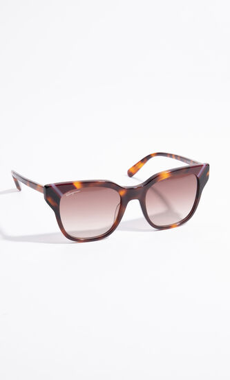 Wayfarer Sunglasses
