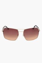 Navigator Sunglasses