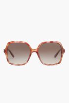 Oversized Sunglasses
