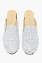 Sparkly Slippers