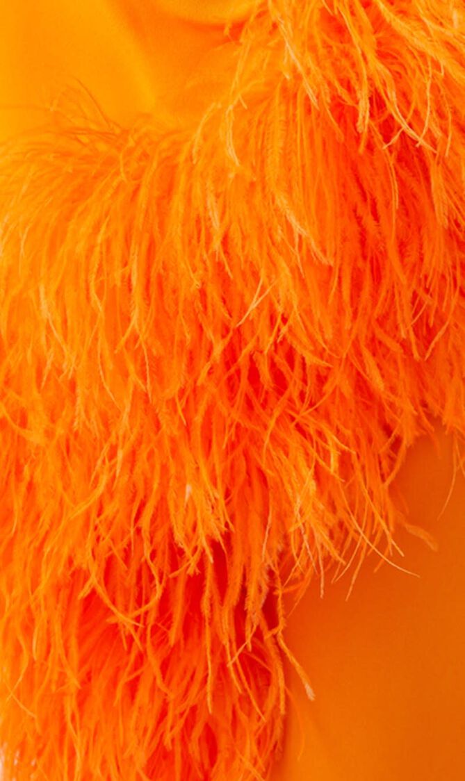 FEATHERED UBUD DRESS