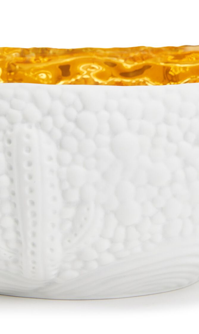 LOB HAAS MOJAVE DESSERT WHITE+GOLD