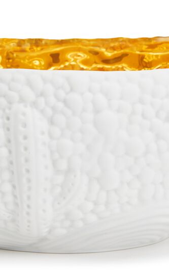 LOB HAAS MOJAVE DESSERT WHITE+GOLD