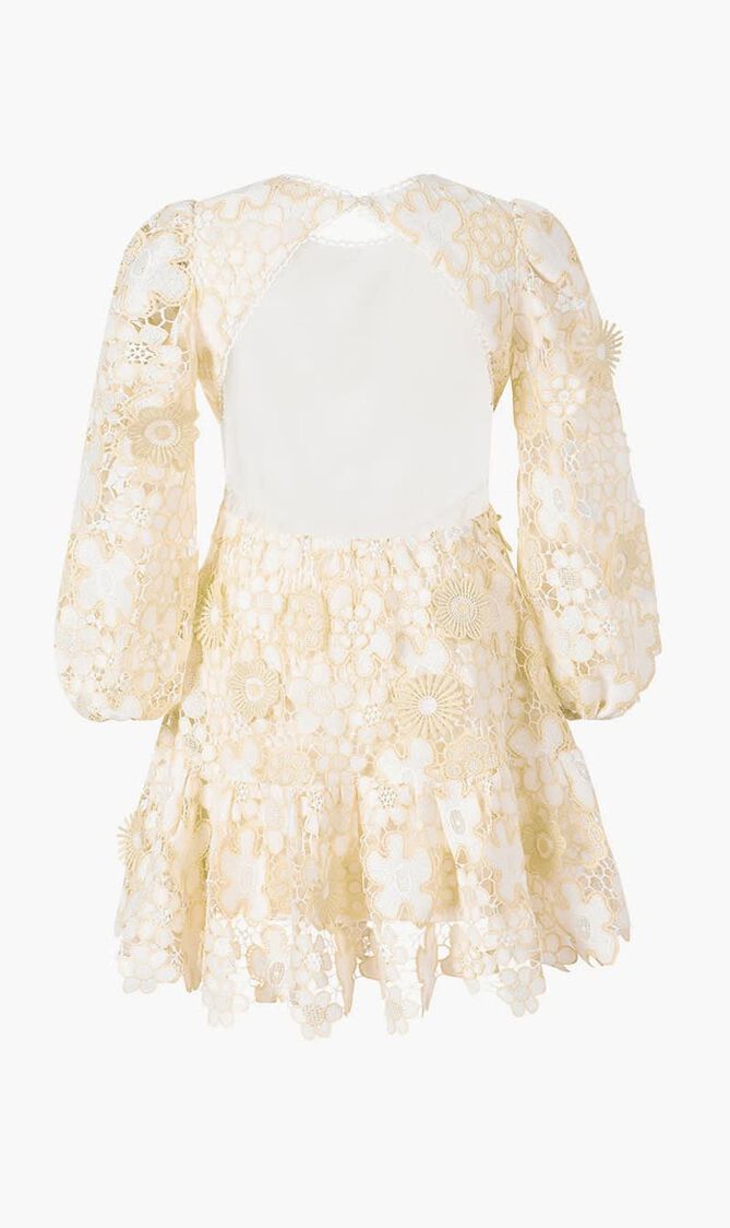 Amara Embroidered Mini Dress