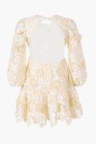 Amara Embroidered Mini Dress