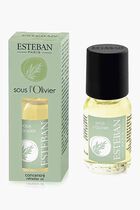 Refresher Oil Sous L'olivier