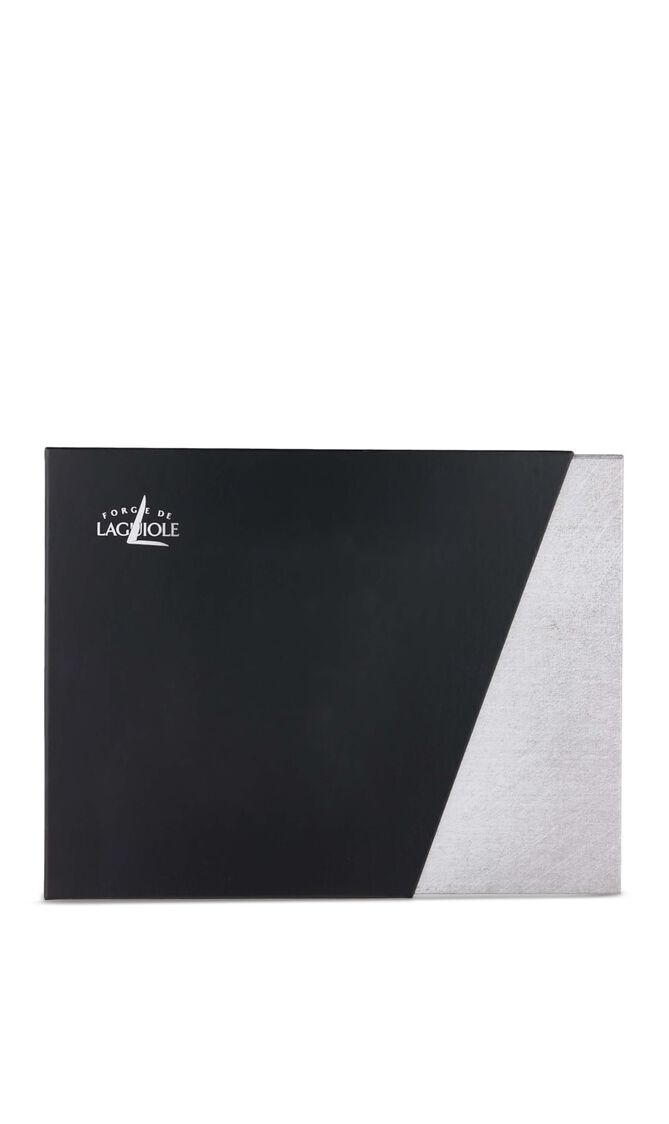 Set of 6 - Acrylic Handle Coffee Spoons