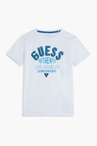SS T-SHIRT - ORGANIC COTTON 160GSM