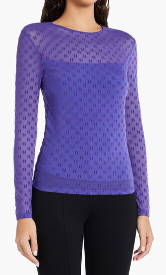 Mesh Long Sleeve Top
