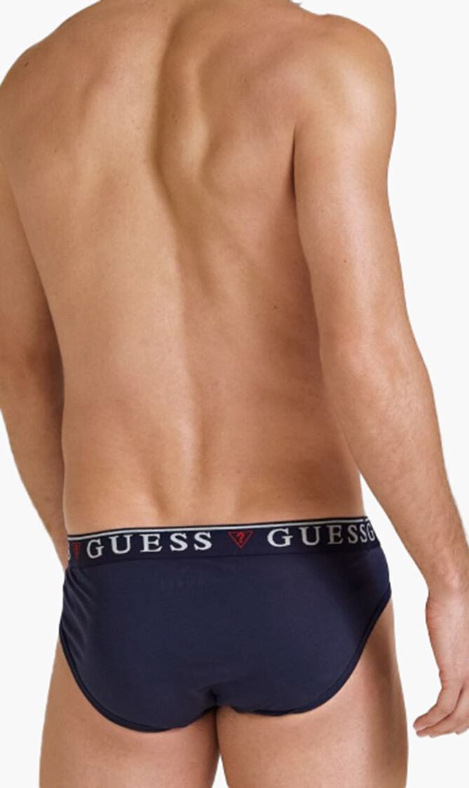3 Pack Brief