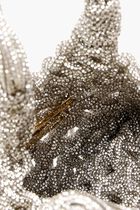 Vannifique Fringes Mini Bag