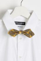Striped Printed Bow Tie