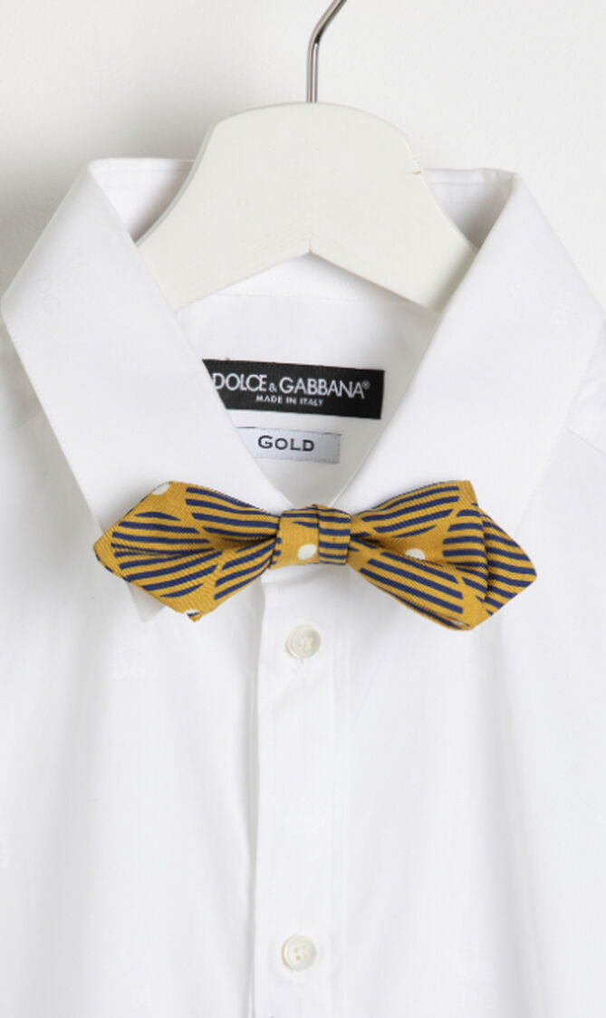 Striped Printed Bow Tie