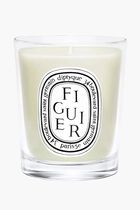 DTQ FIGUIER CANDLE 70G