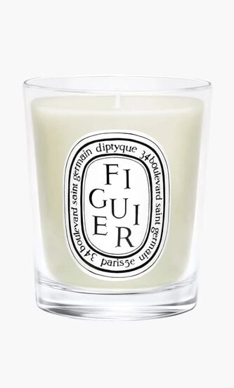 DTQ FIGUIER CANDLE 70G