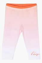 Cotton Gradient