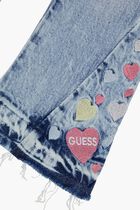 Str Denim Flare Wembroidery