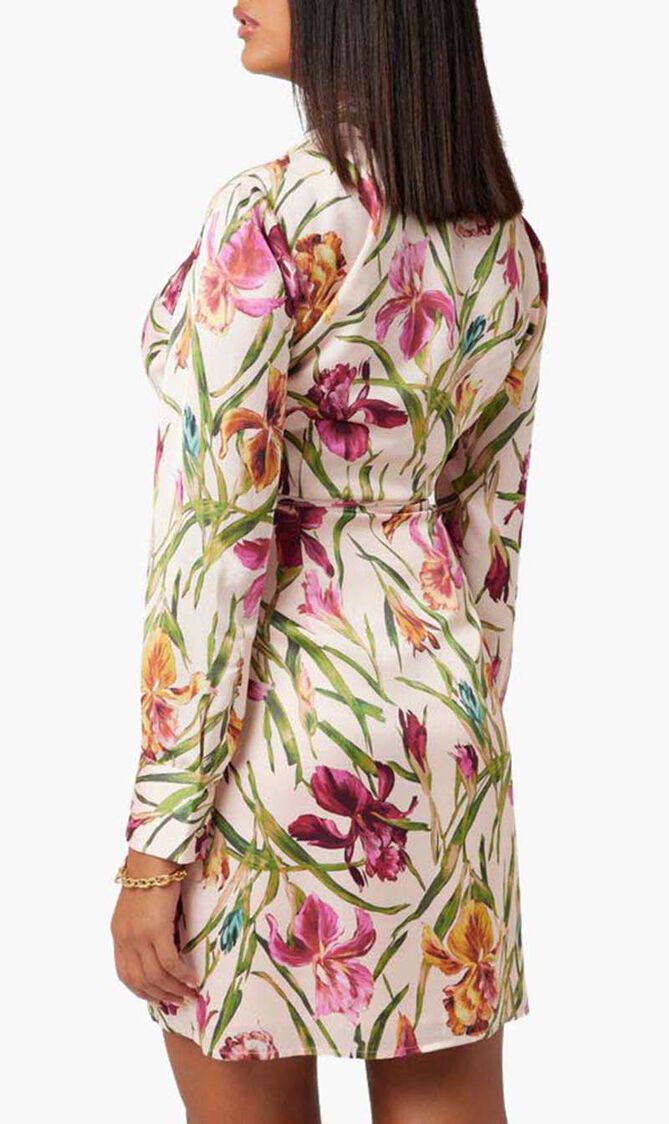 IRIS DRESS