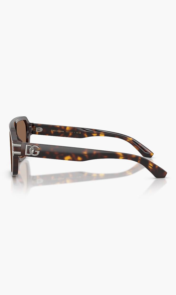 Havana Sunglasses