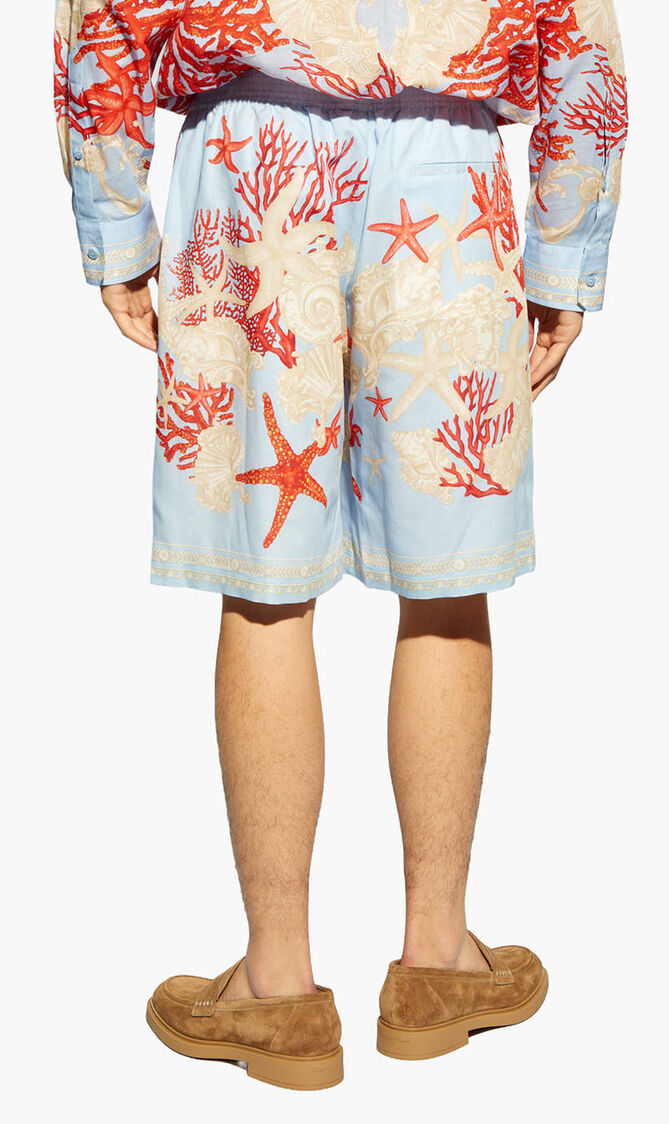 Canvas Blend Linen Shorts