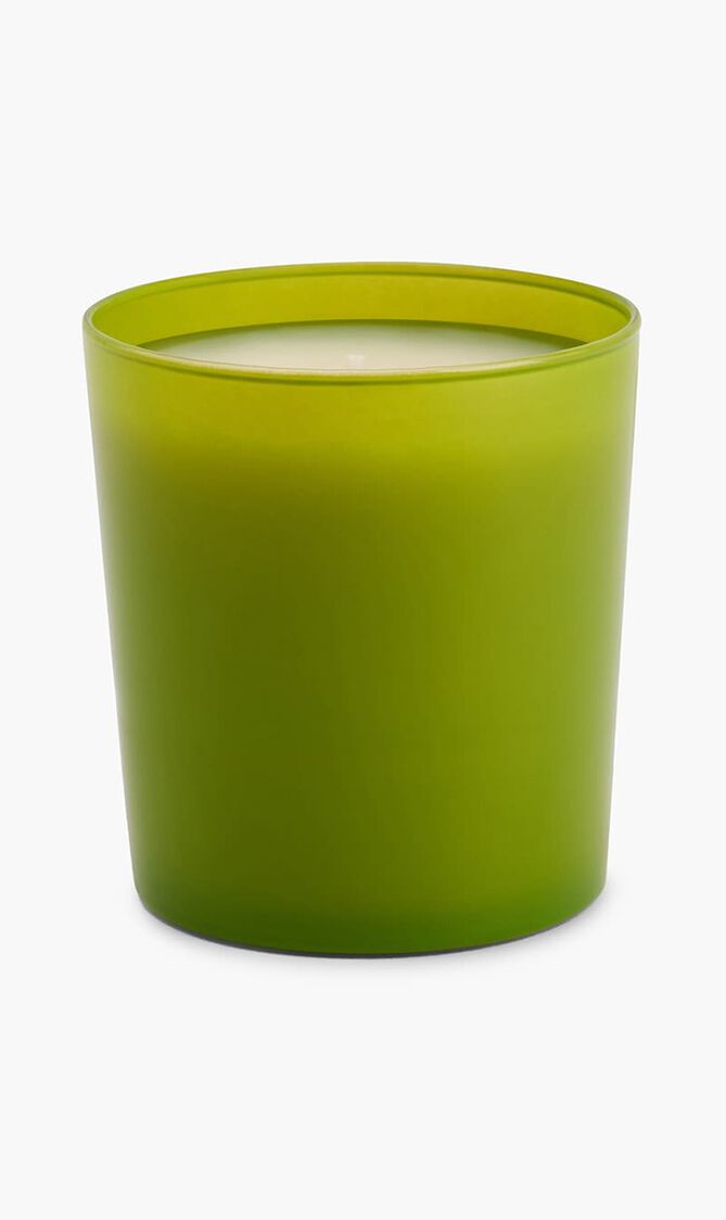 DGA INSTITUTIONAL CANDLE