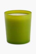 DGA INSTITUTIONAL CANDLE