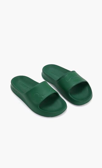 Classic Logo Slides