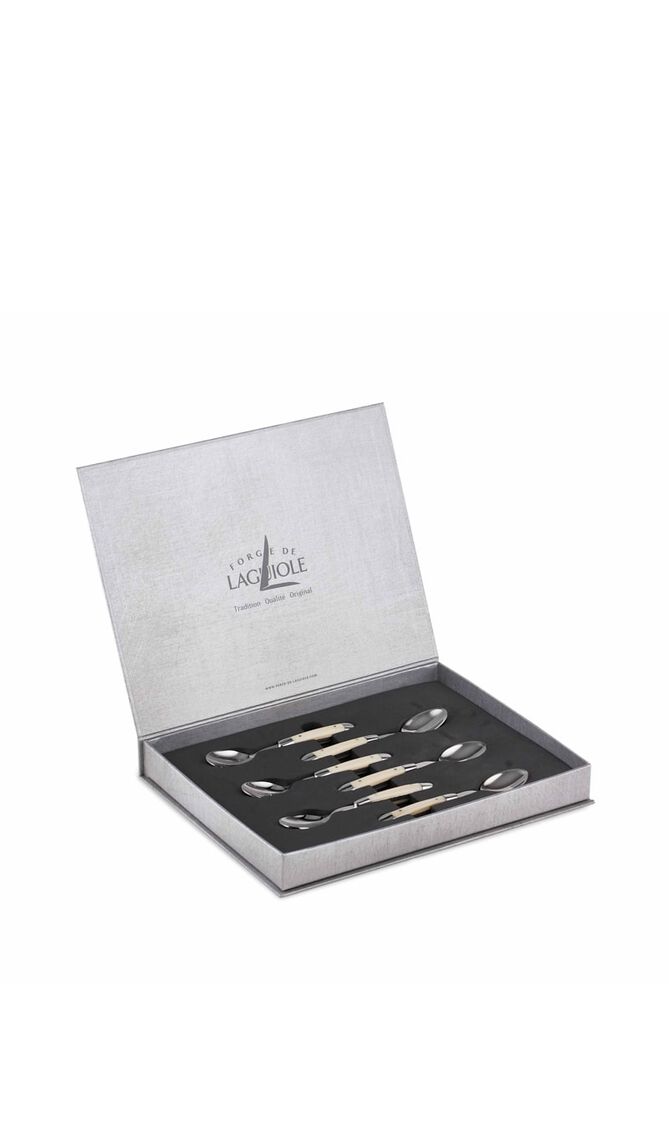 Set of 6 - Acrylic Handle Coffee Spoons