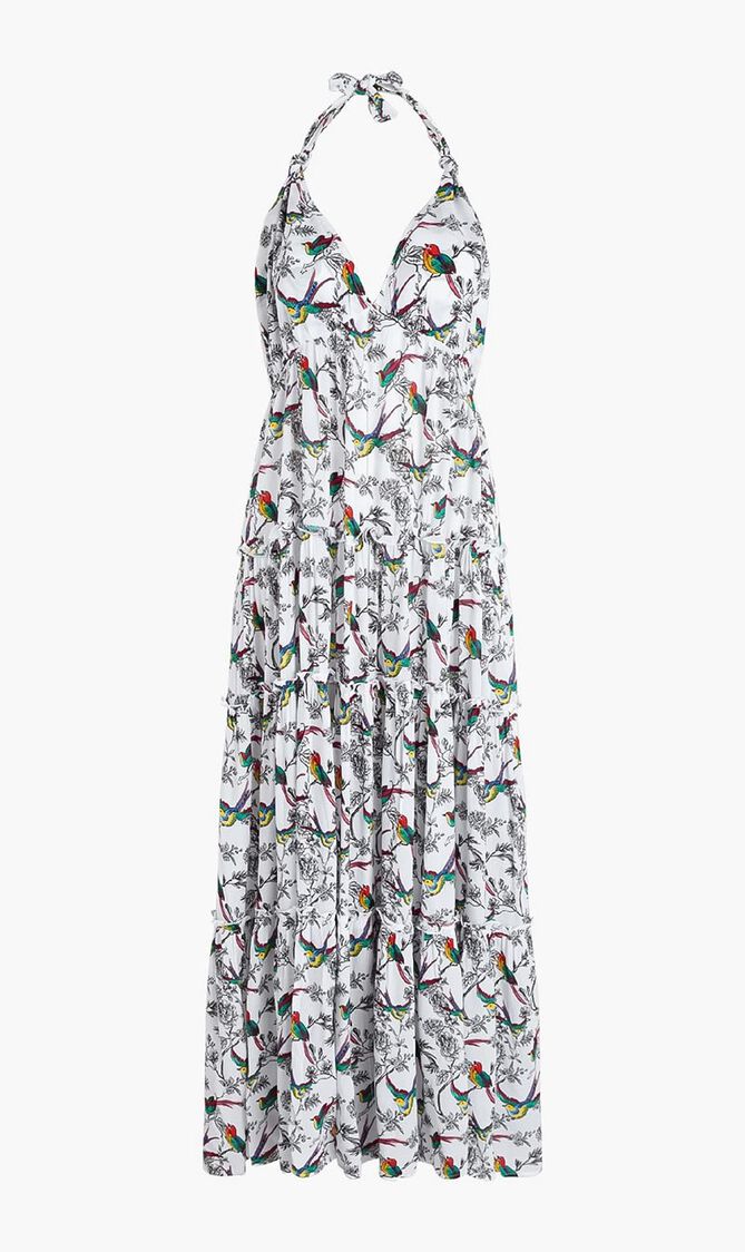 Rainbow Birds Viscose Long Backless Dress