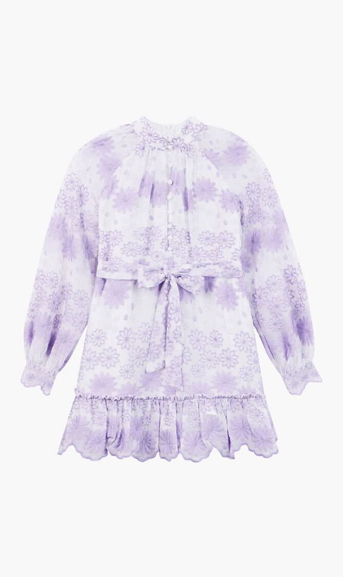 Lena Embroidered Mini Dress